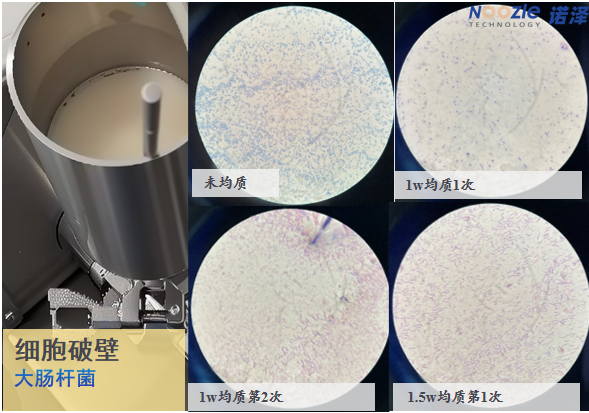 诺泽微射流均质机 诺泽超高压微射流均质机 诺泽微射流超高压均质机