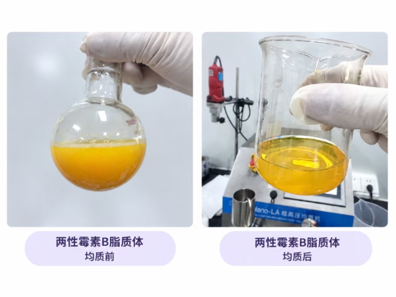 两性霉素B均质前后对比